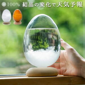 e|pX Xg[OX IuWF KX  Tempo Pulsee|hbv  Mtg  u G CeA VC\ v[g Ɏq ^  ʔ́J 䕗