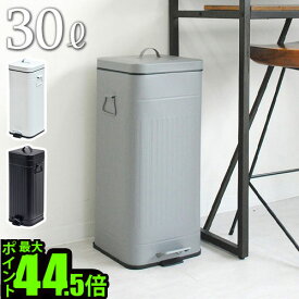 【マラソン期間中 最大P51.5倍】 ゴミ箱 ふた付き ダストボックス ダストカン スリムガルバ スクエア ダスト ボックス 30リットルGalva Square Dust Box 30L丸洗いOK 衛生的 二重構造 汚れにくい ペダル ペダル式ゴミ箱 ペダルで開閉