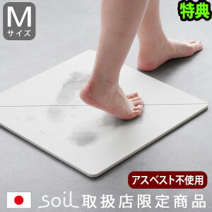 Tt ]yoX}bg \C gem { soil GEM oX}bg o[Vu [MTCY] Ђ΃oX}bg ӂ}bg ]y  z 炳 C oXObY C}b