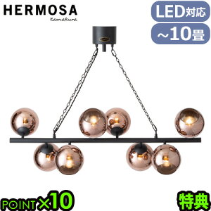 yTtz y_gCg KX  _CjO dtnT rAbc8 y_gv [ubN/Jbp[] HERMOSA BIARRITZ 8 [BLACK/COPPER] Ɩ AeB[N E26 VƖ LEDΉ