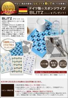 水筒ステンレスボトルマグボトルコーヒーメーカー保温保冷おしゃれステンレス300mlコトルCOTTLE真空断熱フレンチプレスタンブラー蓋付き直飲みキャンプアウトドア