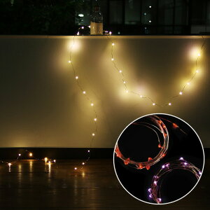 �C���~�l�[�V���� �d�� ����t�F�A���[���C�g��LED20��/230cm��20LED FAIRY LIGHT�L���L�� �p�[�e�B�[ �z���C�g �}���` ���b�h �u���[ �s���N �d�� led�������j�� plywood �p�[�e�B�[ �d�� led �Ɩ� �M�t