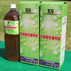 乳酸菌生産物質 KS乳酸エキス 2000mlが3本でお得セット 全国送料・代引手数料無料／免疫乳酸酵素