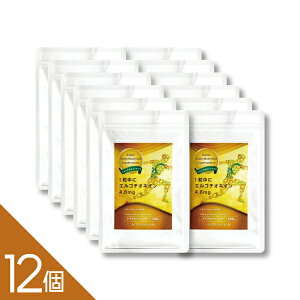 y12zY^M^PRI29mg̃GS`IlCzIwGS`IlC 60xyJY[U[ƊwԂŘbz