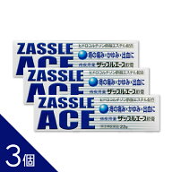 【3個】『ザッスルエース軟膏 22g』痔の痛み・かゆみ・出血に｜患部の炎症を鎮める痔疾患用軟膏【第(2)類…
