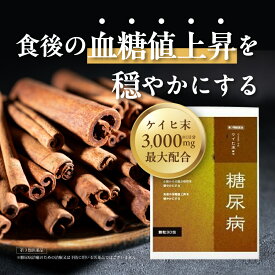 『ケイヒ末 顆粒 30包』シナモン 桂皮 口渇 のどの渇き 血糖値が気になる方に 和漢薬【第3類医薬品】