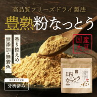 薬局監修【国産 無添加】『納豆粉末 豊熟粉なっとう 100g』