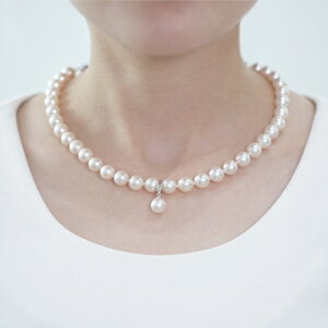 8.5-9.0mm/AR^y_glbNX 2_Zbg   ؖ ɐu YP[Xt