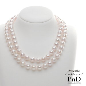 AR^Z~EhZ~OlbNX Yp[P[X   ؖ ^ p[ ɐu