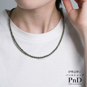 Wp[fUCy_g lbNX WF_[t[ p[P[X   ؖ ^ p[ ɐu IP[W Zj[ Y WF_[X fB[X