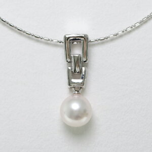 AR^ y_g IKlbNX lbNX 7.5mm p[P[Xt JWA   ؖ ɐu