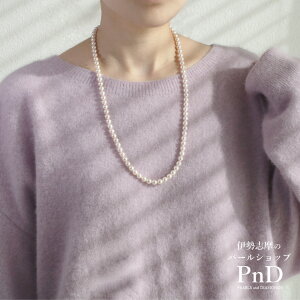 AR^ Z~OlbNX 6.0-6.5mm 60cm zCg p[P[Xt   ؖ ɐu JWA Zj[ IP[W