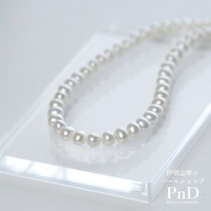 W^ |eg lbNX p[P[Xt   ؖ ɐu jZbNX JWA WF_[t[