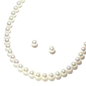 8.0-8.5mm/ARNC[lbNXZbg Yp[P[Xt Ӓӕʏt ^   ɐu