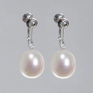 Wp[ CO [  ؖ ^ p[ ɐu