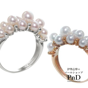 ARxr[p[ O w K18PG Pt950 Vo[ S[h ^ p[P[Xt  ؖ