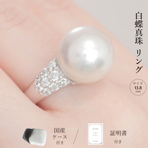 嗱^×_ChO Pt900 Yp[P[Xt  ؖ ɐu