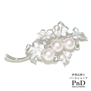 8.0mmAR^u[` 3 Z[teB[{[t   ؖ ɐu YP[Xt ^ p[ tH[}   w Ǝ l hV̓ j 