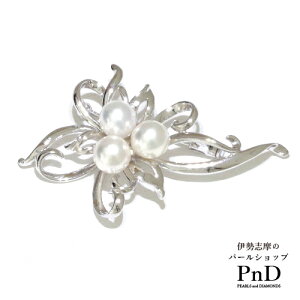 t[`[t AR^u[`  Z[teB[{[t   ؖ ɐu YP[Xt ^ p[ tH[}   w Ǝ l hV