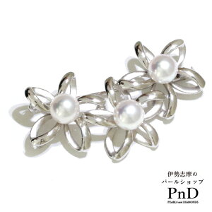 t[`[t 8.0mmAR^u[`  Z[teB[{[t   ؖ ɐu YP[Xt ^ p[ tH[}   w Ǝ l h