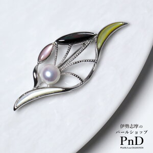 9.5mm AR^u[` zCg VF p[P[Xt   ؖ ɐu tF~j J[