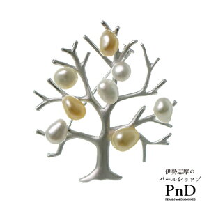 ^ PV u[` S[h Yp[P[Xt   ؖ ɐu [h J[ IP[W Zj[