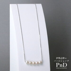 AR^ y_g lbNX 5.0-5.5mm SV Vo[ JWA Yp[P[Xt   ؖ ɐu