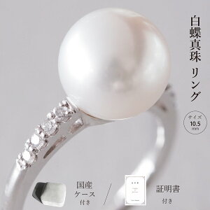 ^×_ChO Yp[P[Xt  ؖ ɐu