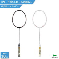 アパックス バドミントンラケット エナジーグルーブ パワー/スピード ENERGY GROOVE POWER/SPEED 4UG6 5U…