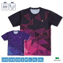 アパックス バドミントン ウェア ゲームシャツ 協会 認定 ソフトテニス テニス 軟式テニス Tシャツ ドライTシャツ ユニセックス 男女兼用 半袖 吸汗速乾 apacs 検定審査合格品 RN10119-LI