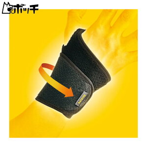 fB[G AXfBT|[^[ 肵߂ I[v^Cv  108618 FREE COLOR DM jZbNX