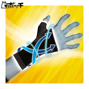 fB[G AXfBT|[^[ 肵߂ X[u^Cv ̂Ђ 109660 FREE COLOR DM jZbNX
