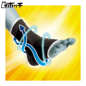 fB[G AXfBT|[^[ 肵߂ X[u^Cv  109721 FREE COLOR DM jZbNX