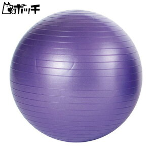 �G�o�j���[ �m���o�[�X�g�o�����X�{�[��55 ETB601 FREE COLOR EVERNEW ���j�Z�b�N�X �V���[�Y �E�F�A �X�|�[�c�p�i