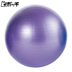 �G�o�j���[ �m���o�[�X�g�o�����X�{�[��65 ETB602 FREE COLOR EVERNEW ���j�Z�b�N�X �V���[�Y �E�F�A �X�|�[�c�p�i