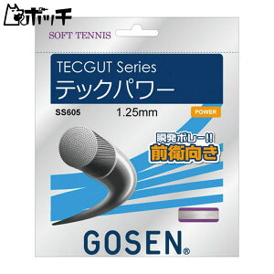 S[Z TECGUT ebNp[ SS605 CBNAubN GOSEN jZbNX \tgejX Kbg EFA jtH[ I[o[Obv ejXpi