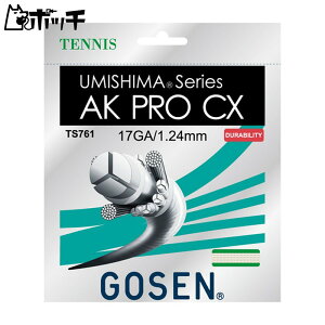 S[Z E~V} AKvCX 17 TS761 NAi` GOSEN jZbNX ejX Kbg EFA jtH[ I[o[Obv ejXpi