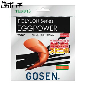 S[Z | GbOp[ 16 TS100 BKubN GOSEN jZbNX ejX Kbg EFA jtH[ I[o[Obv ejXpi