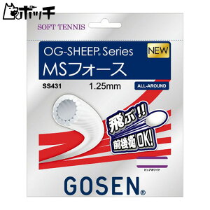 S[Z MStH[X SS431 OBLI[Vu[ GOSEN jZbNX \tgejX Kbg EFA jtH[ I[o[Obv ejXpi