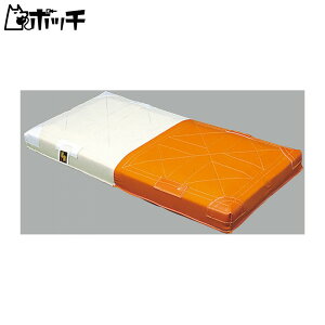 GXGXPC \tg{[p_ux[X YM9W FREE COLOR SSK jZbNX 싅 V[Y EFA jtH[ O[u obg 싅pi