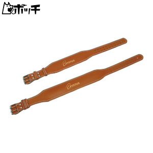 g[GCCg g[GC EGCgg[jOxg H7454 FREE COLOR TOEI LIGHT jZbNX V[Y EFA X|[cpi