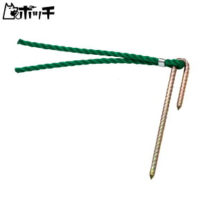 g[GCCg g[GC |Cg}[J[W15 G1793 G TOEI LIGHT jZbNX V[Y EFA X|[cpi