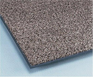 �e�����g�@�g���r�A��HC�@450×750mm�@�D�@MR�|028�|020�|5�@1�� 655-3371