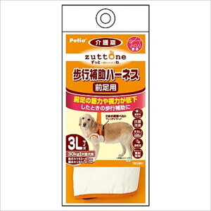 zuttone Ƃ Vp s⏕n[lX OpK 3L