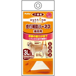 zuttone Ƃ Vp s⏕n[lX 㑫pK 3L