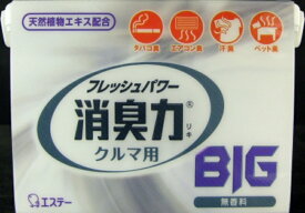 消臭力クルマ用BIG 無香料