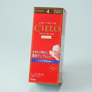 VG wAJ[EX N[4 iCguEj