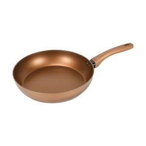 VISIONS GOLD Coating IH�Ή��t���C�p��28cm