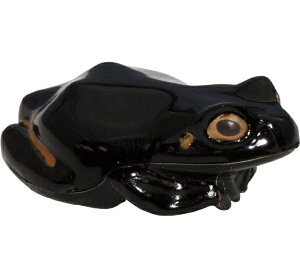 I live light(ACu) ^ sAmubN R