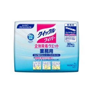 ԉvtFbViET[rX()NCbNCp[ ̋zEFbgV[g Ɩp 30 (10×3) 4901300000000 ԉvtFbViET[rX()